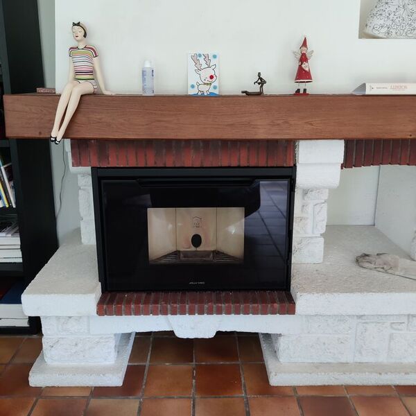 Insert granulés cheminée