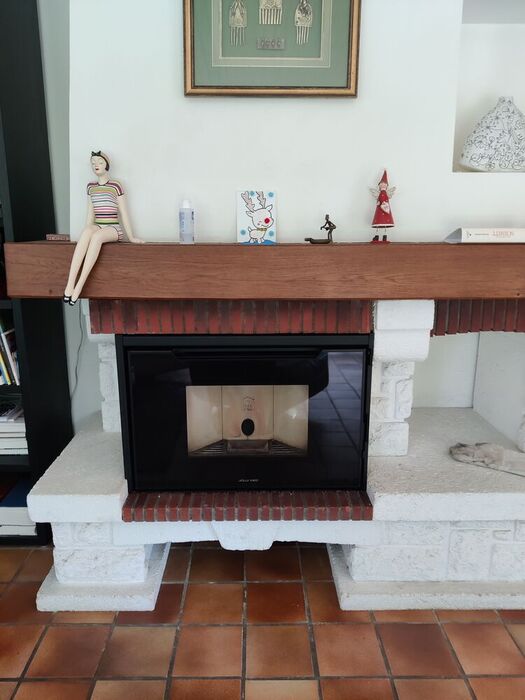 Insert granulés cheminée